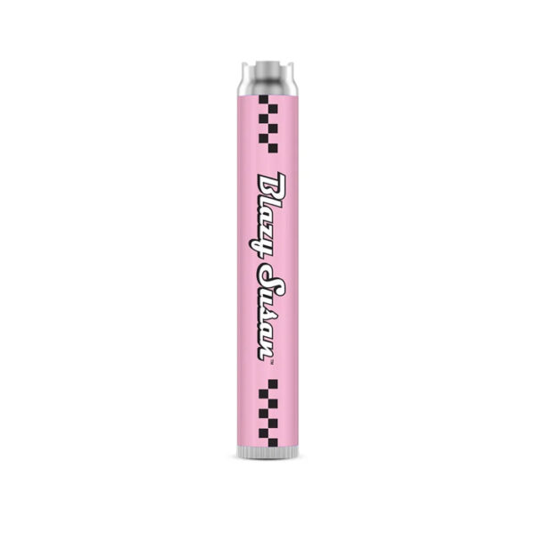 Blazy Susan Batteries 650mah