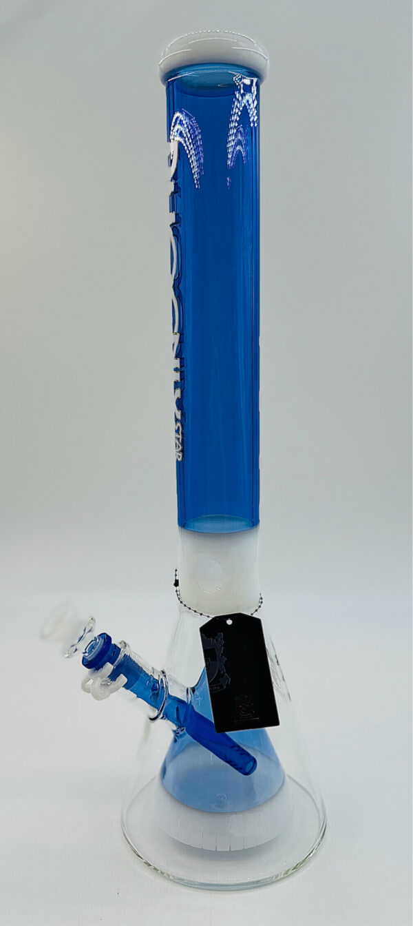 Phoenix 19” Slime Beaker