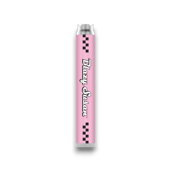 Blazy Susan Batteries 650mah