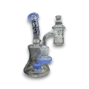Dogg Lbs | 6" Everyday Mini Bell Bottom Rig Set