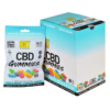 BOLT CBD 2000mg 40ct