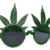 Lifestyle Glasses Green Leaf