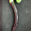 9" 2 Tone Sherlock HP
