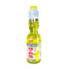 Shirakiku Ramune Yuzu