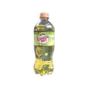 Canada Dry Green Tea