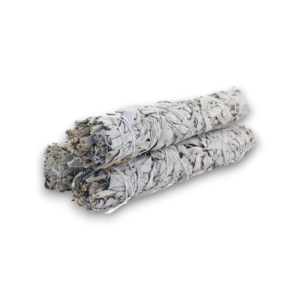 Sage Bundle 9"
