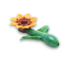 Empire GW | Sunflower HP