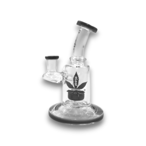 6" aLeaf Circ Perc WP