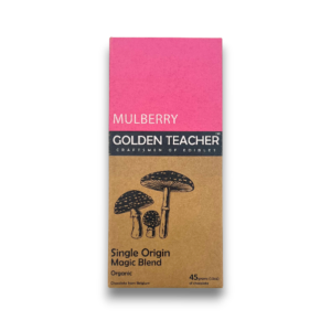 Golden Teacher Organic Mushroom Chocolate Bar | 450mg