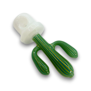 6" Cactus HP