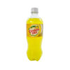 Canada Dry Pineapple