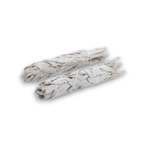 Sage Bundle 6"