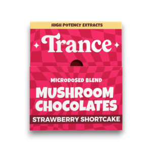 Trance Mushroom Chocolate Singles | 50ct Box
