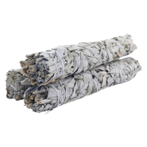 Sage Bundle 9"