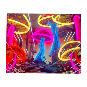 Neon LED Glass Frame Pictures